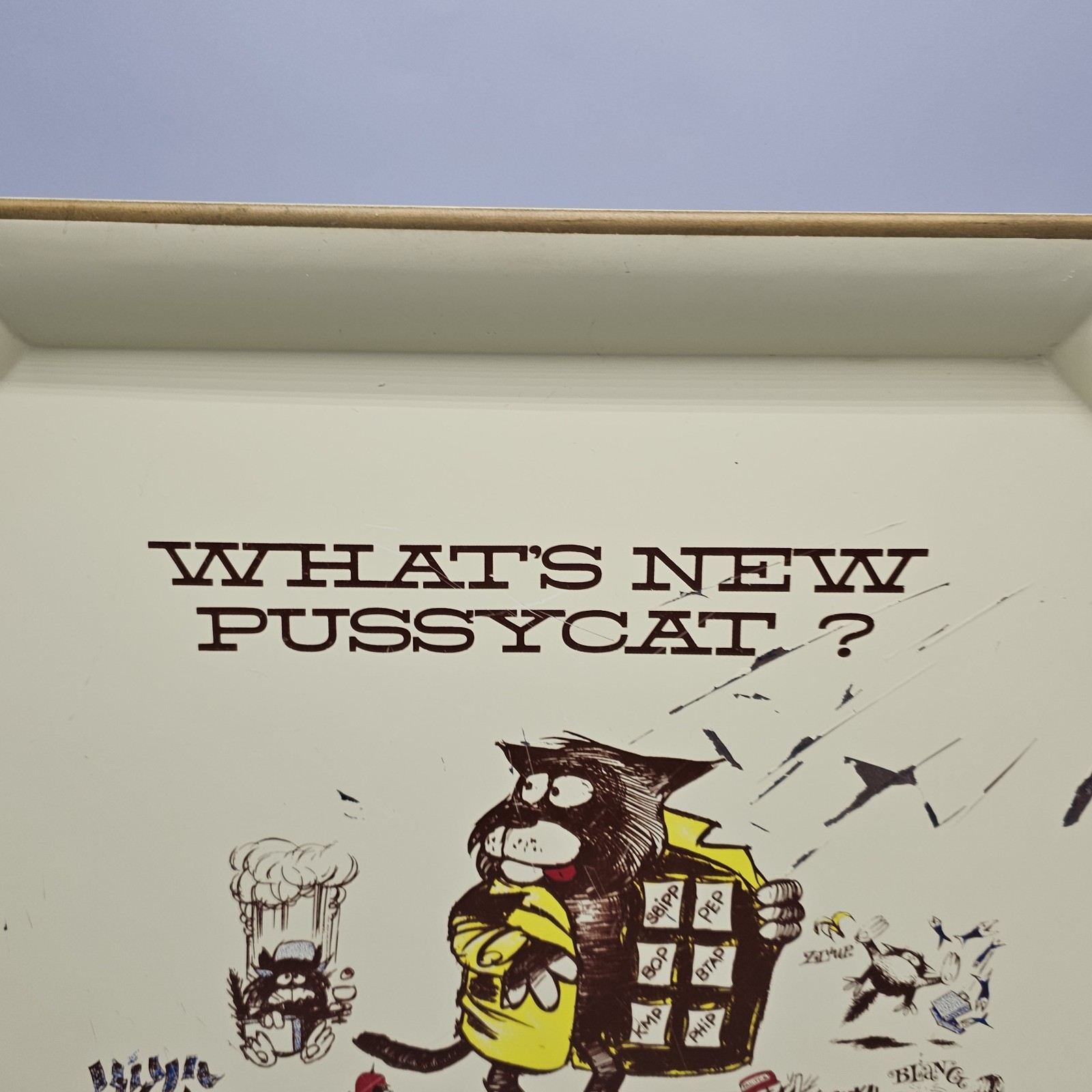 Mid Century What’s New Pussycat? Aetna Enamel Tray Cottage Grandma Folkart 1966