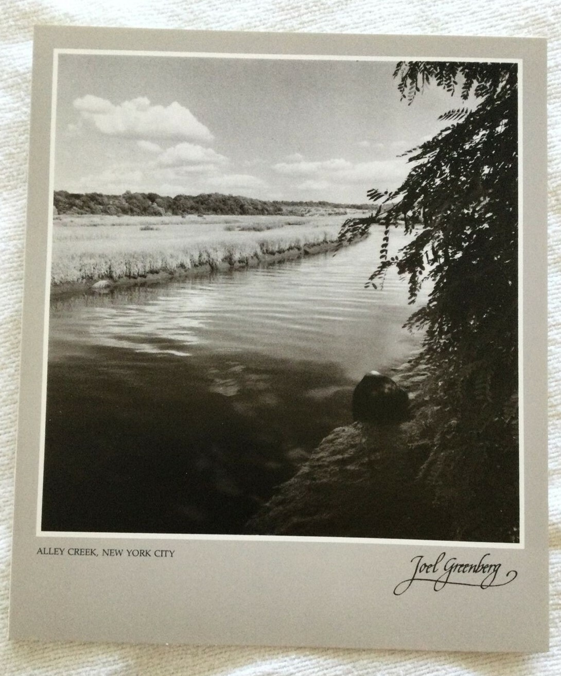 Set of Five 1980 Manufacturers Hanover Trust New York Nature Photo Notecards