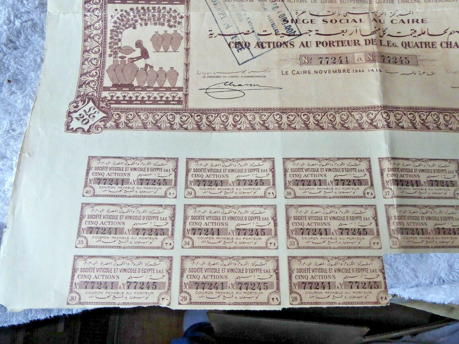 VINTAGE LARGE STOCK CERTIFICATE EGYPT SOCIETE VITICOLE VINICOLE WITH COUPONS 944