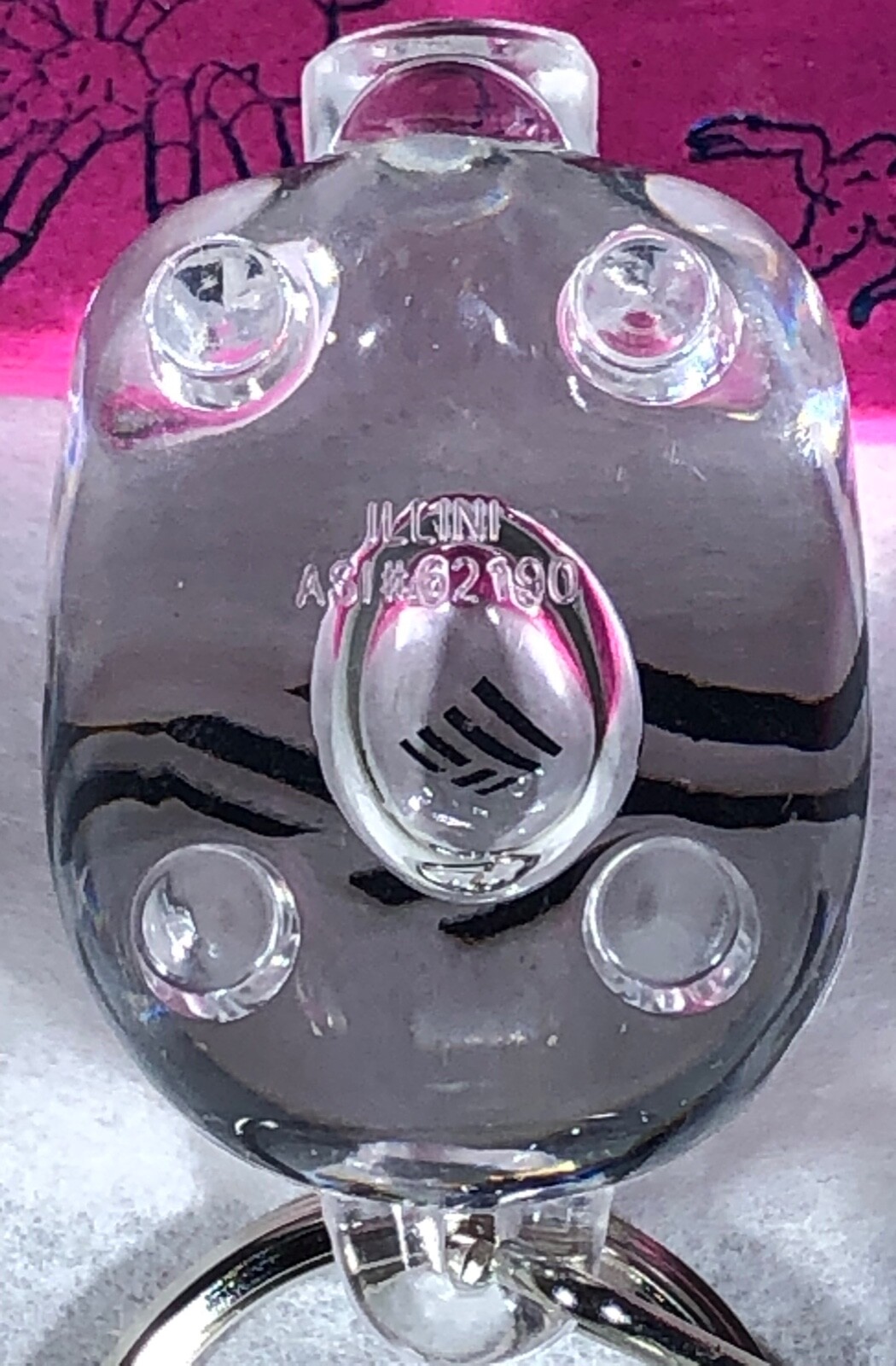 BANK OF AMERICA CLEAR PLASTIC PIG KEYRING KEYCHAIN B OF A FLAGSCAPE LOGO