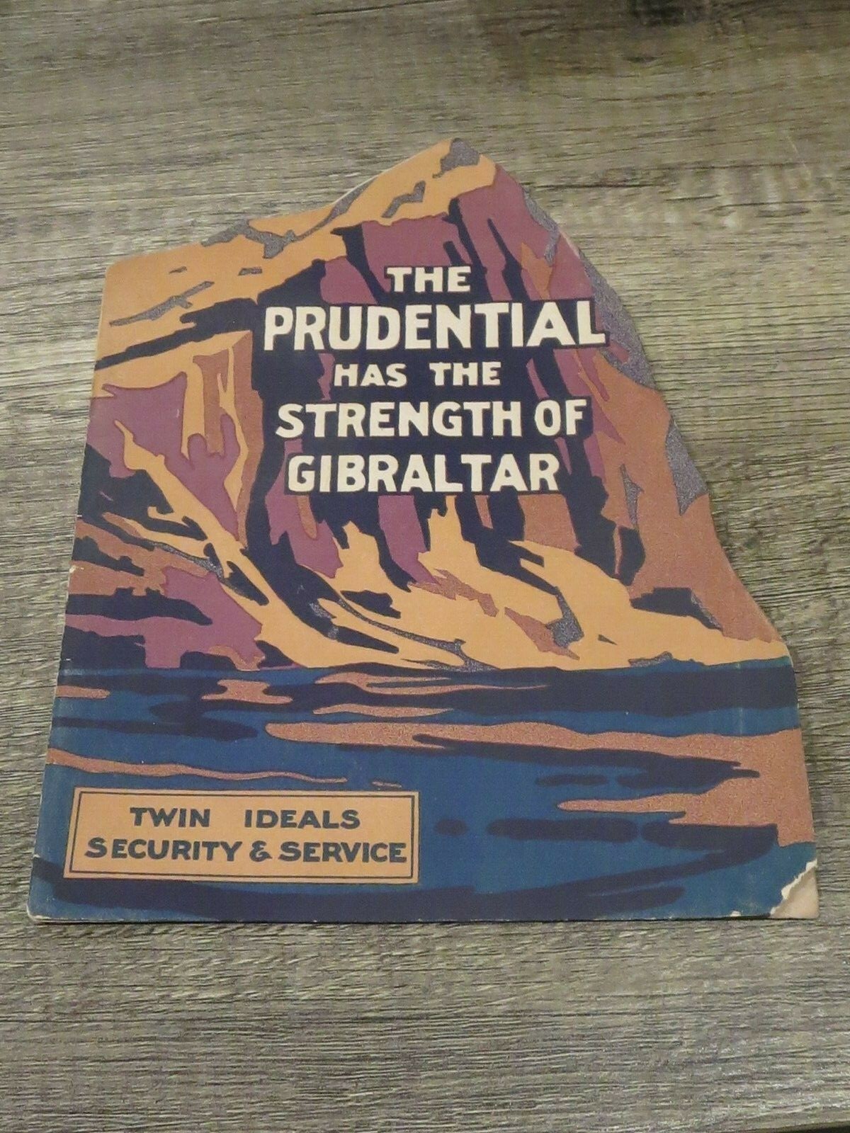 Prudential Insurance Company- 1916 Brochure Twin Ideals