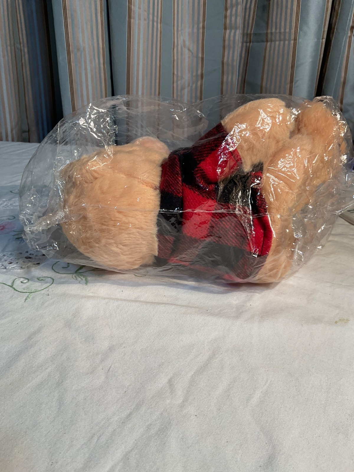 2024 BERKSHIRE HATHAWAY ANNUAL MEETING BENJAMIN MOORE TEDDY BEAR WARREN BUFFETT