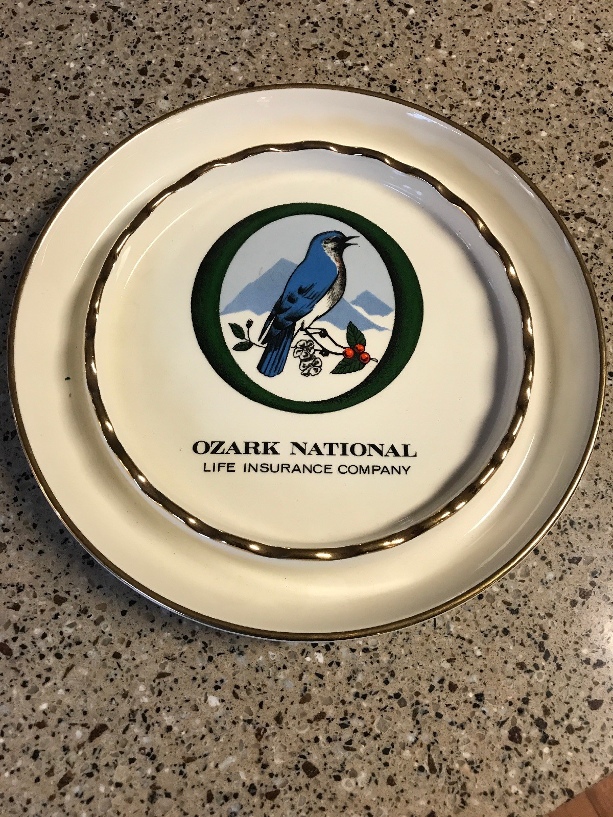 Vintage Ozark National Life Insurance Company Round Color Ceramic Ashtray