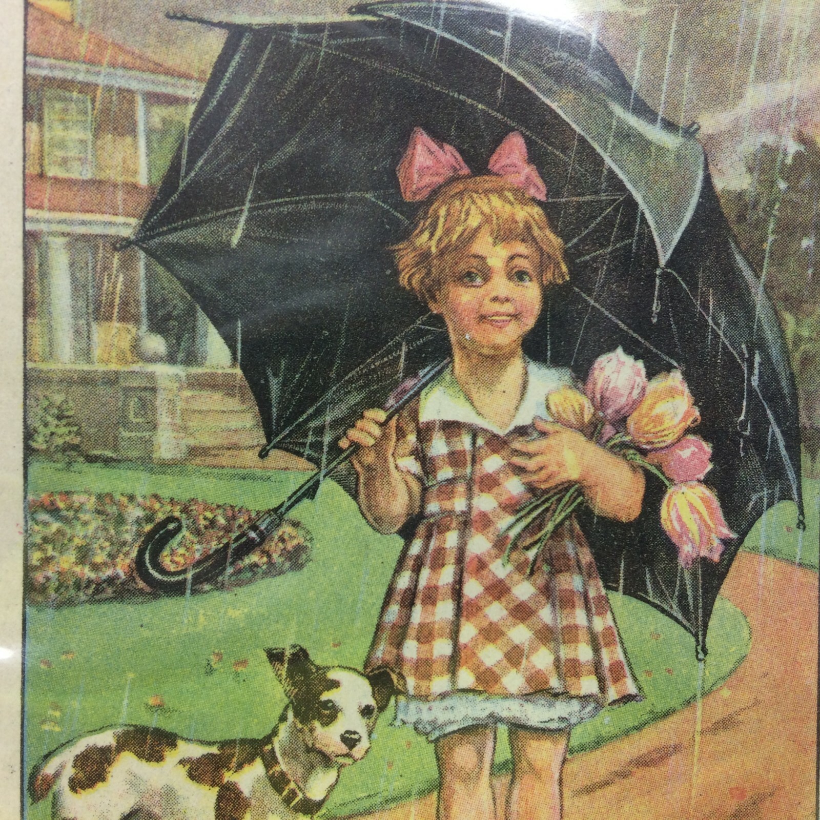 Vintage Trade Card Advertising The Western & Southern Life Insurance Co. Ohio