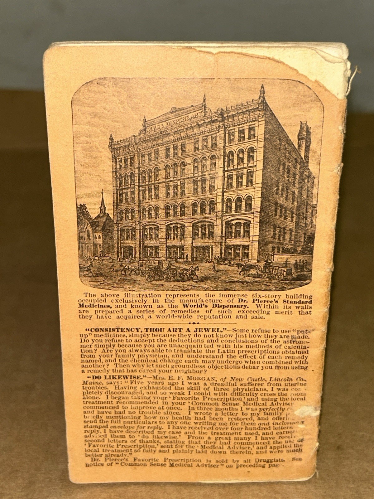 1884 Pierce’s Memorandum Account Book World’s Dispensary Medical Ass. Buffalo NY