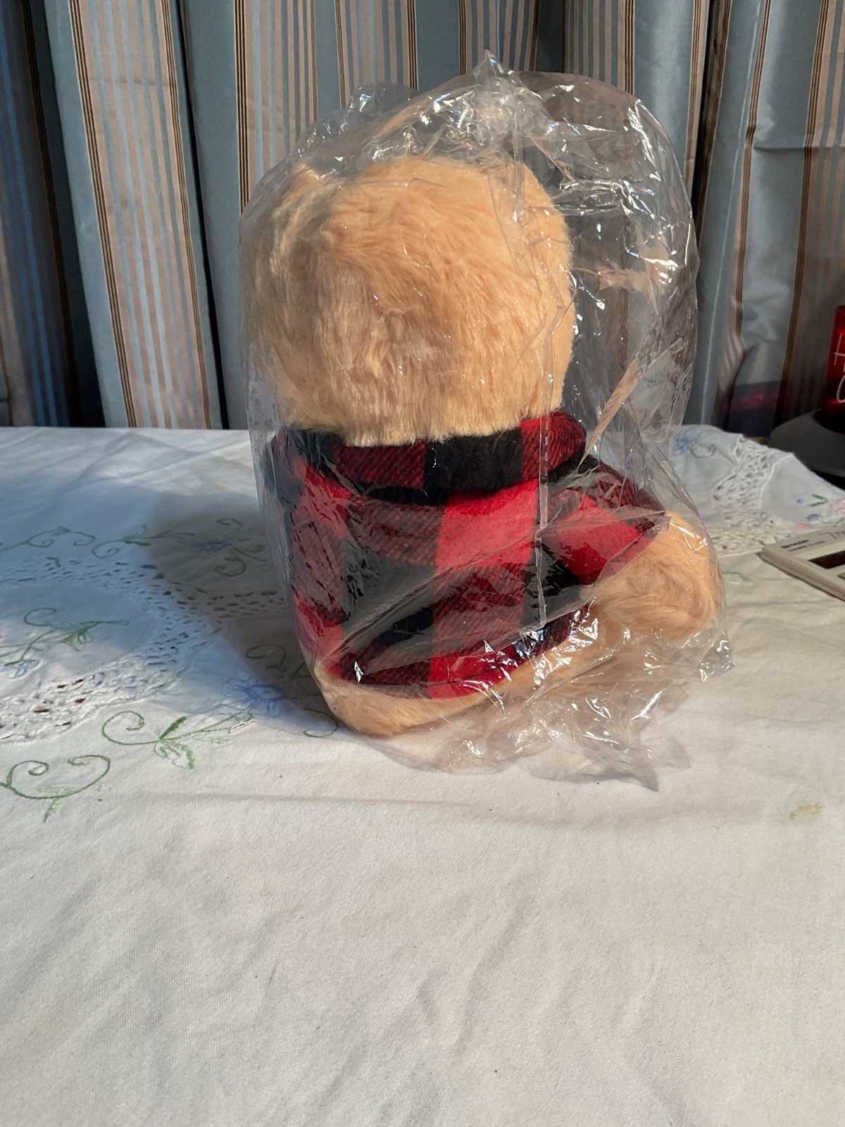 2024 BERKSHIRE HATHAWAY ANNUAL MEETING BENJAMIN MOORE TEDDY BEAR WARREN BUFFETT