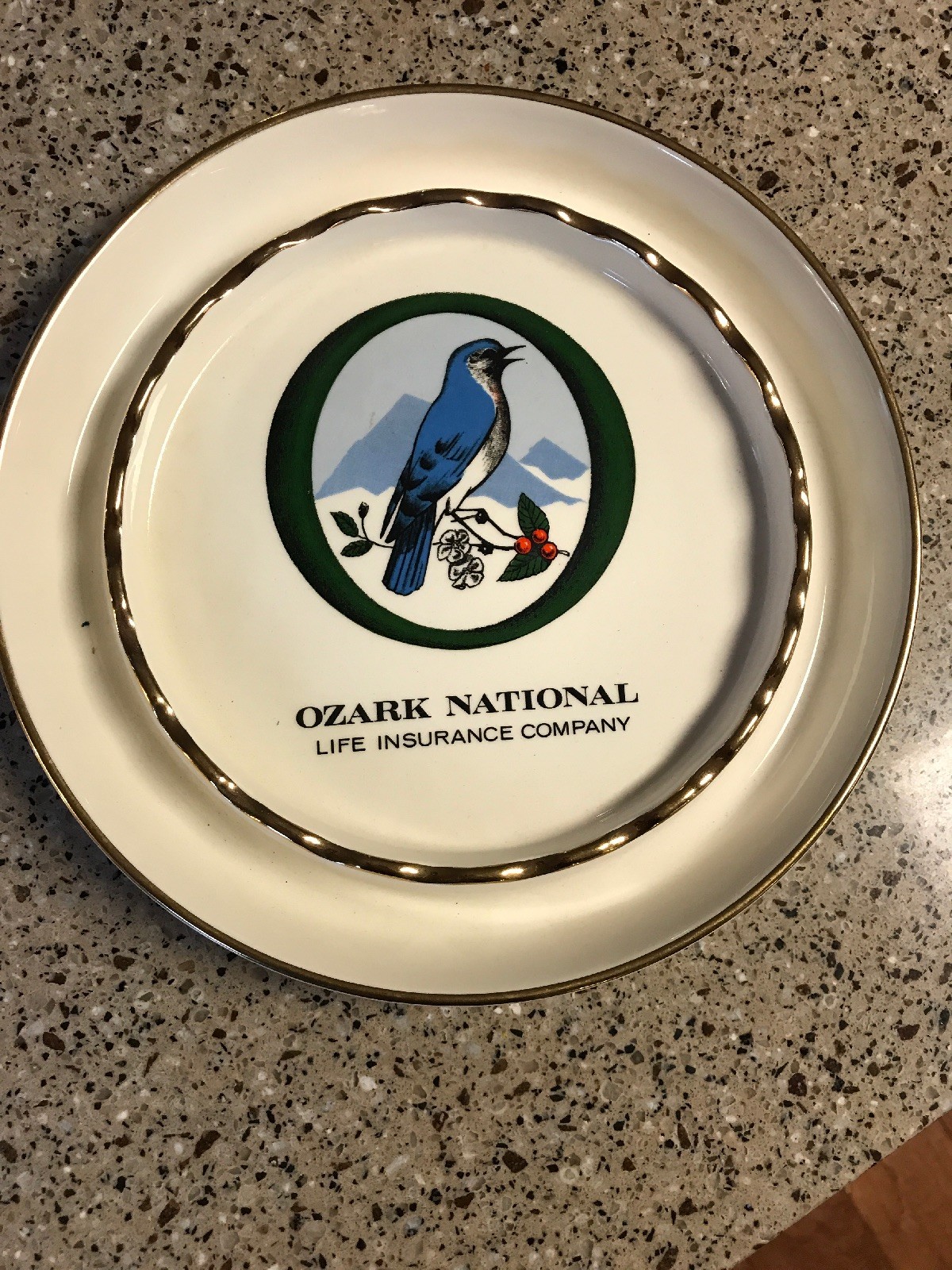 Vintage Ozark National Life Insurance Company Round Color Ceramic Ashtray