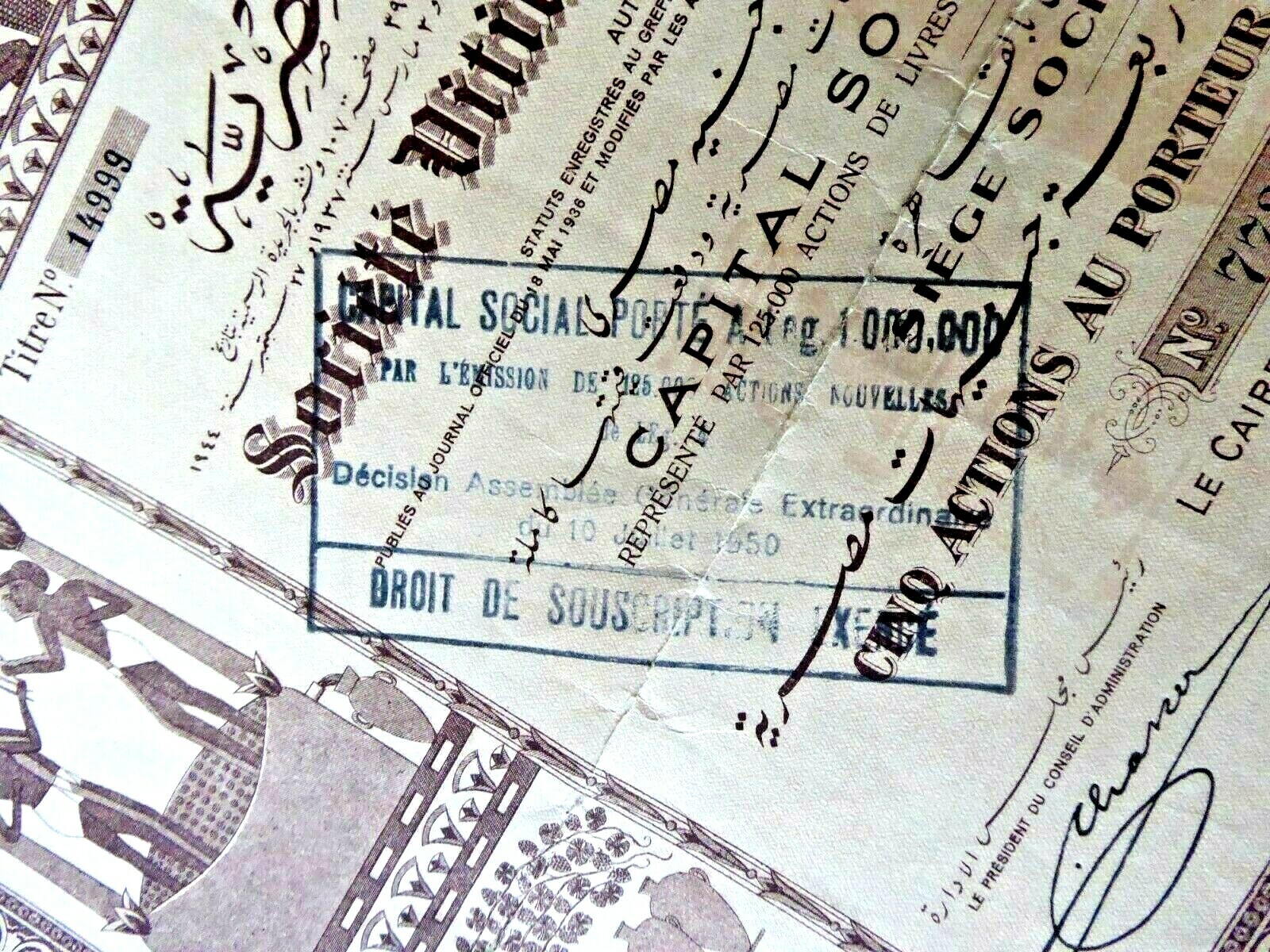VINTAGE LARGE STOCK CERTIFICATE EGYPT SOCIETE VITICOLE VINICOLE WITH COUPONS 944