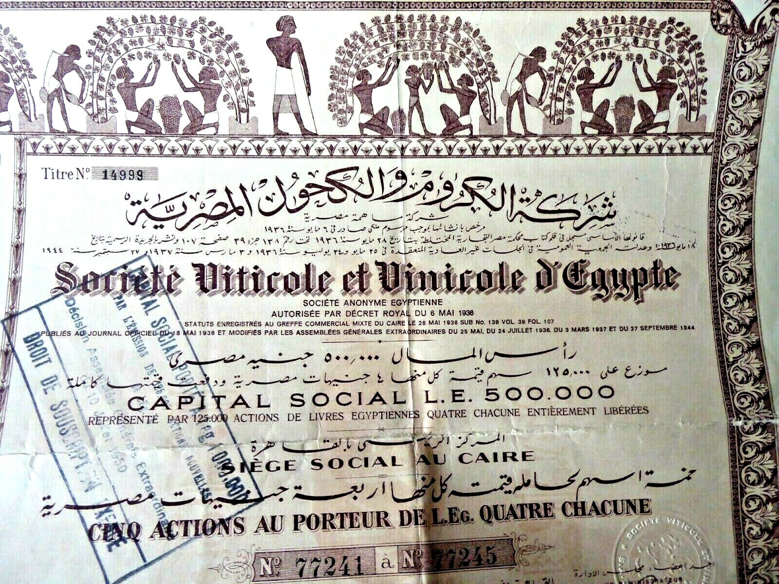 VINTAGE LARGE STOCK CERTIFICATE EGYPT SOCIETE VITICOLE VINICOLE WITH COUPONS 944