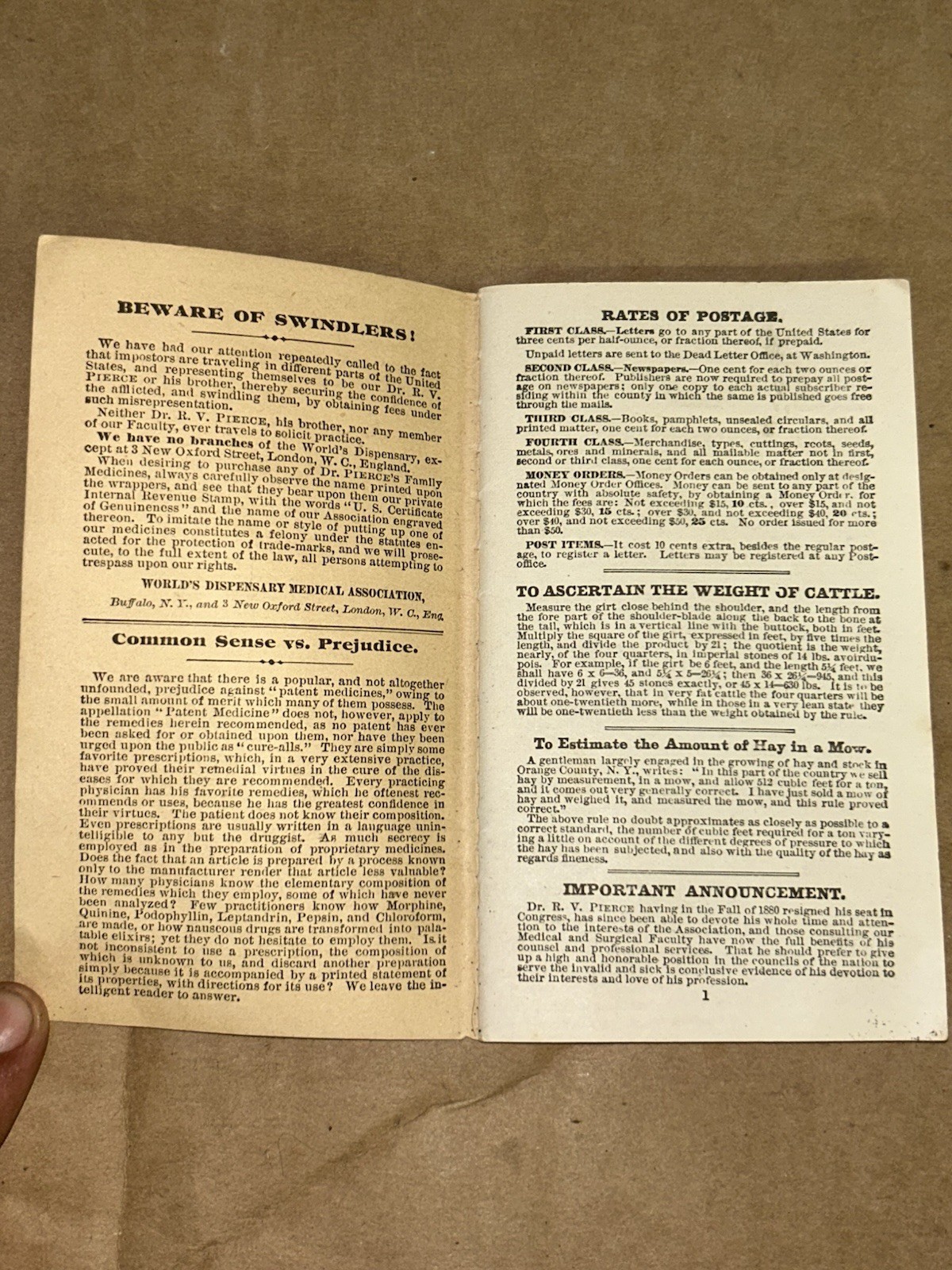 1883 Pierce’s Memorandum Account Book World’s Dispensary Medical Ass. Buffalo NY