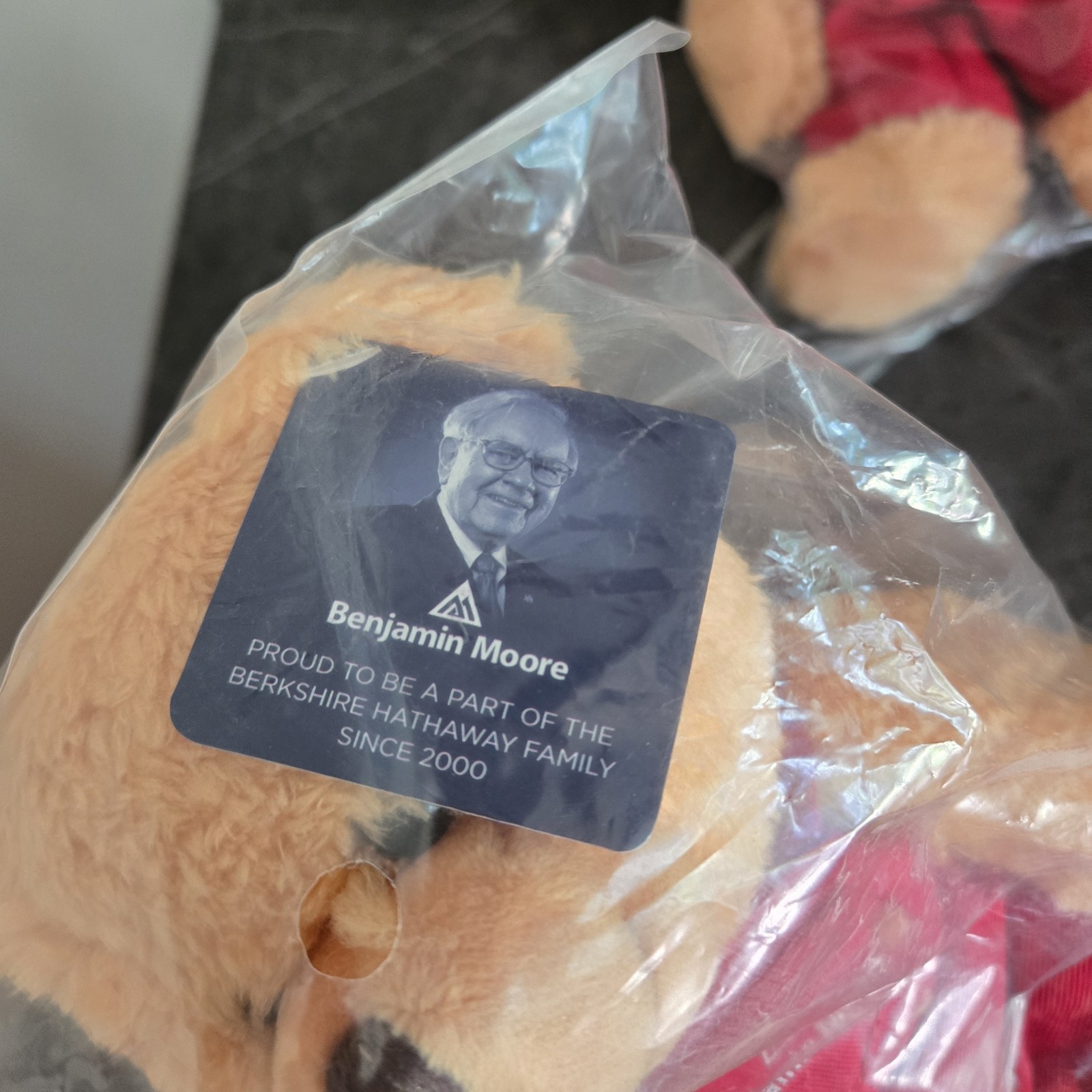 2017 BERKSHIRE HATHAWAY ANNUAL MEETING BENJAMIN MOORE TEDDY BEAR WARREN BUFFETT