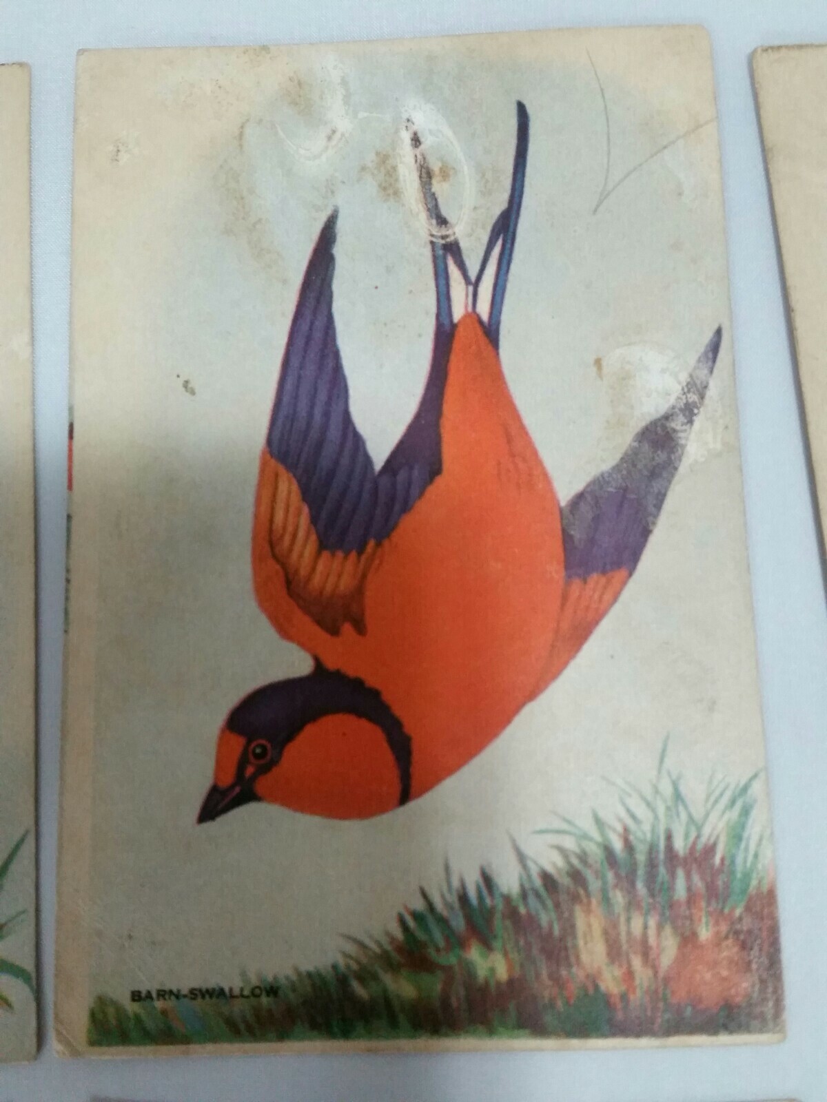 Vtg. Advertising cards-Equitable Insurance-1940’s-Color-Educational-Birds-6/lot