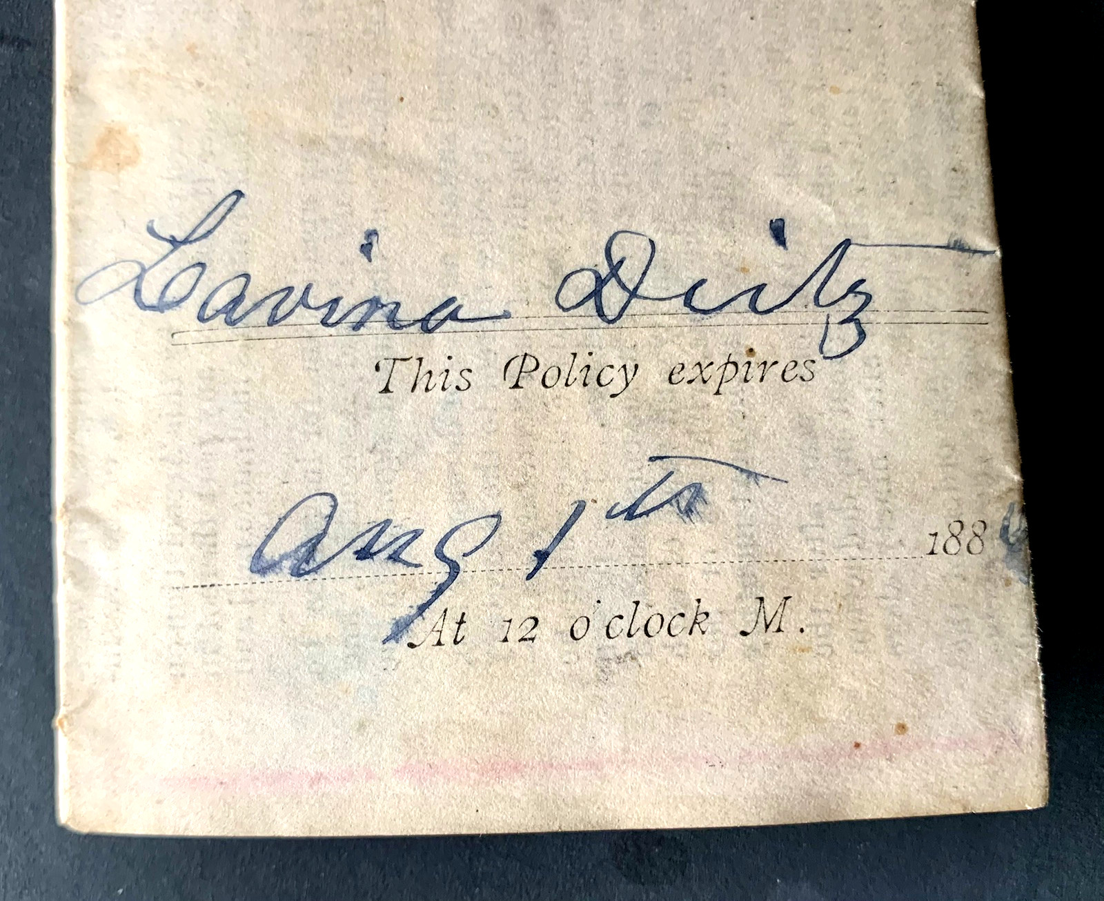 FARMERS’ MUTUAL FIRE INSURANCE CO. POLICY AUGUST 1, 1881 SCHOHARIE SCHENECTADY
