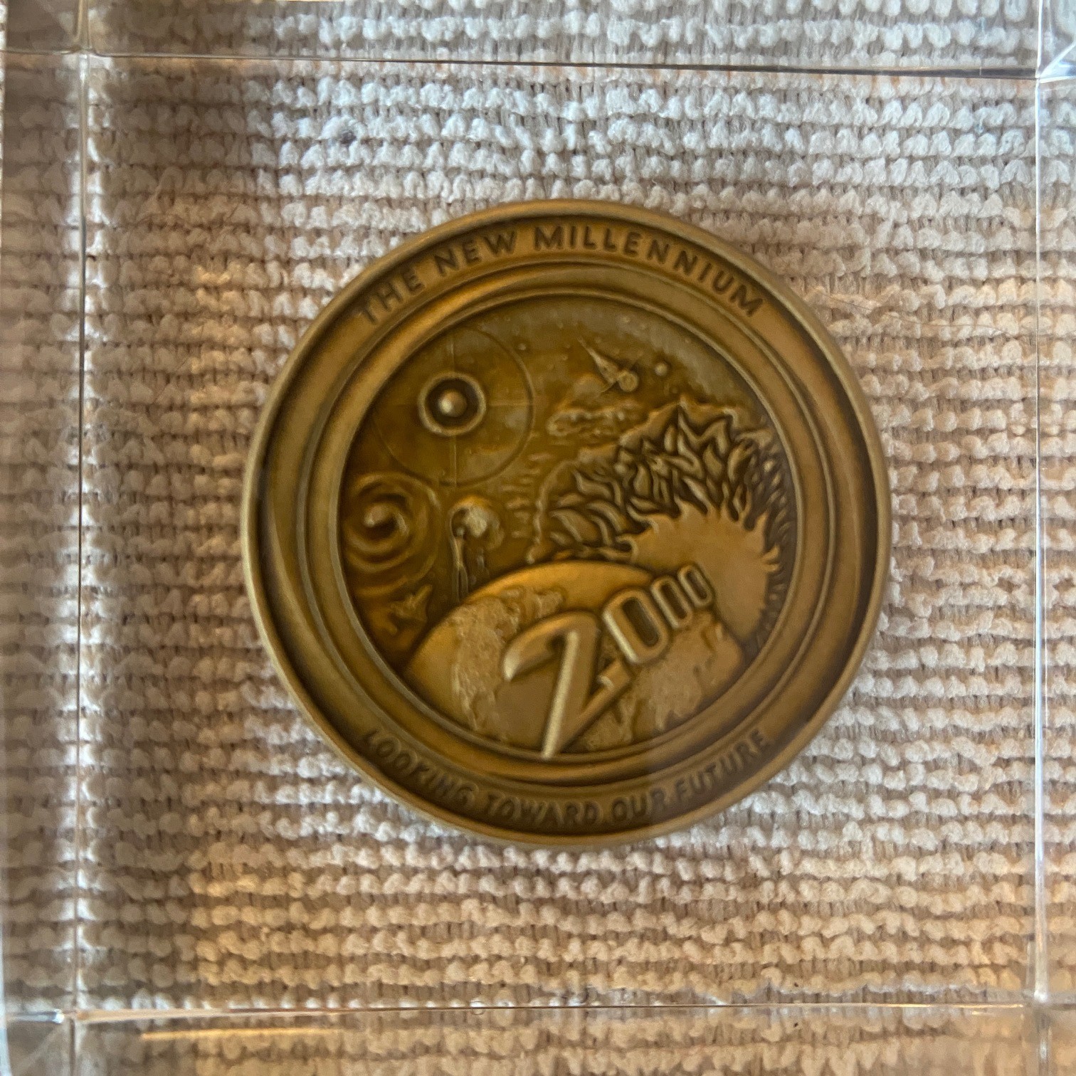 FDIC The New Millennium Federal Deposit Insurance Corporation Coin – Unusual