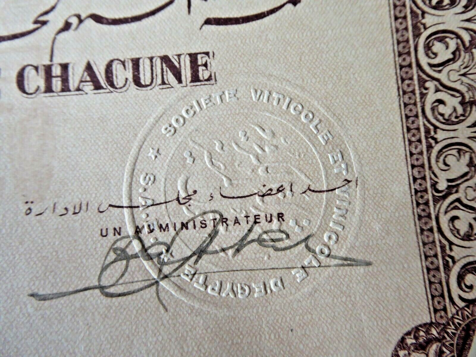 VINTAGE LARGE STOCK CERTIFICATE EGYPT SOCIETE VITICOLE VINICOLE WITH COUPONS 944