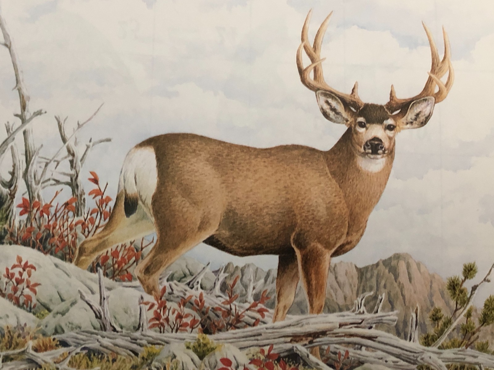 Vintage 2001 Janesville WI Advertising Calendar – Dale Thompson Wildlife Art