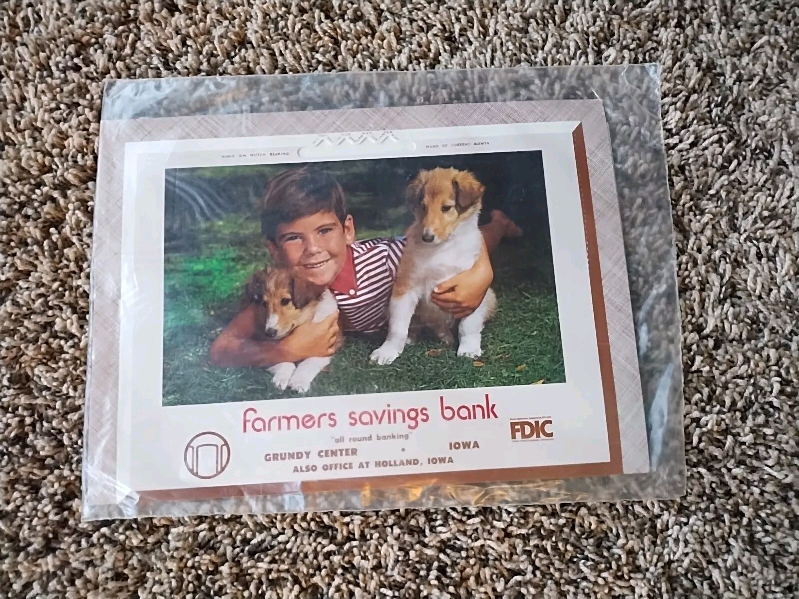 Vtg 1973 Farmers Savings Bank Calendar Grundy Center Holland Iowa New in Plastic