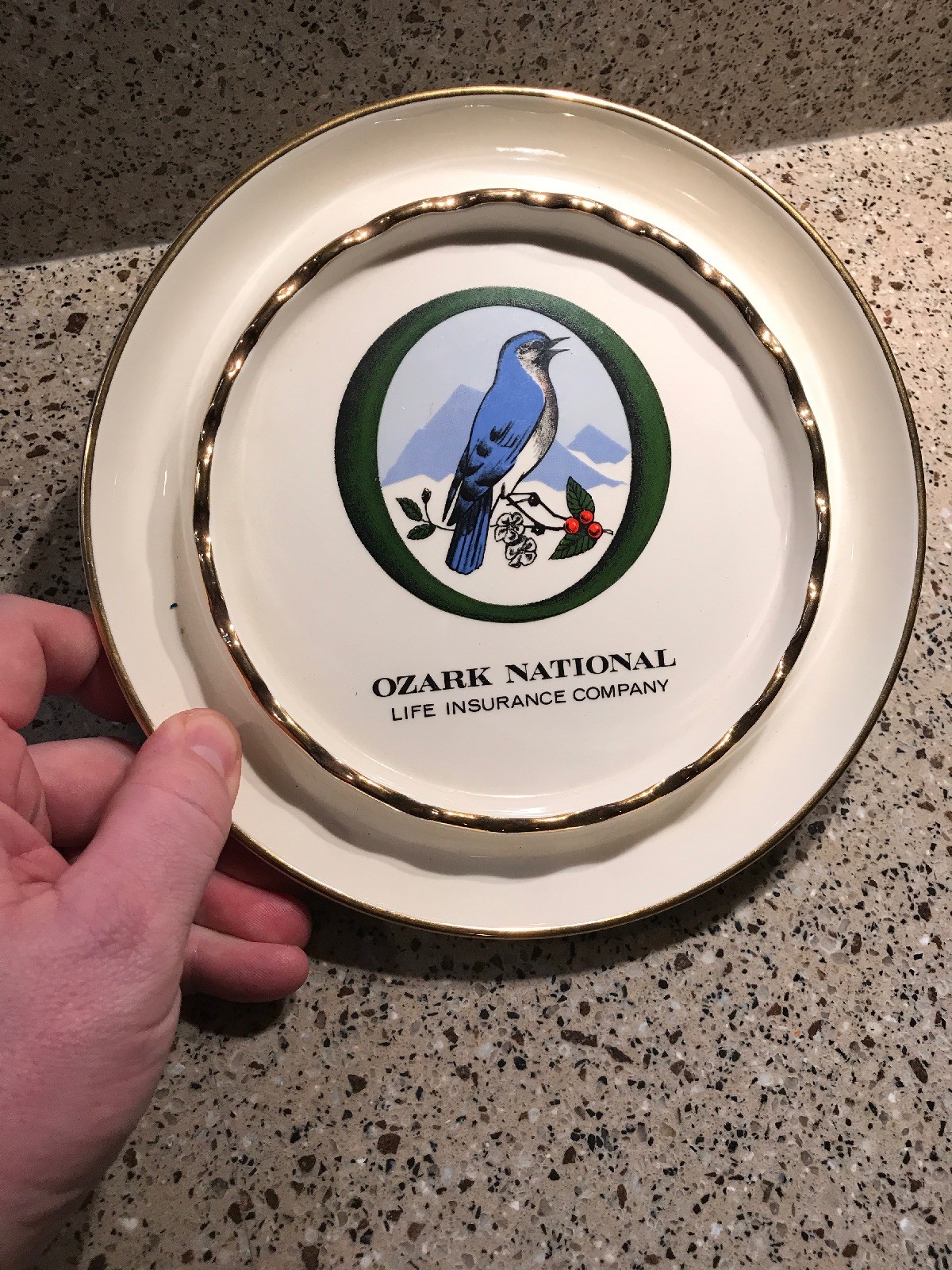 Vintage Ozark National Life Insurance Company Round Color Ceramic Ashtray