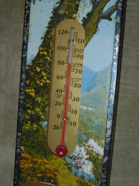 Vintage Advertising Thermometer Farmers State Bank Iola Wisconsin