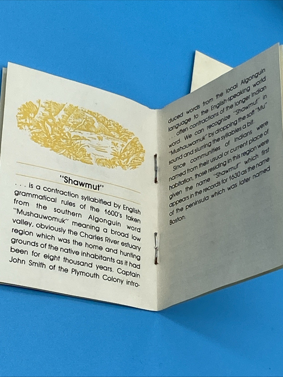 RARE Shawmut Indian Trademark Bust With Book Booklet, Business Card