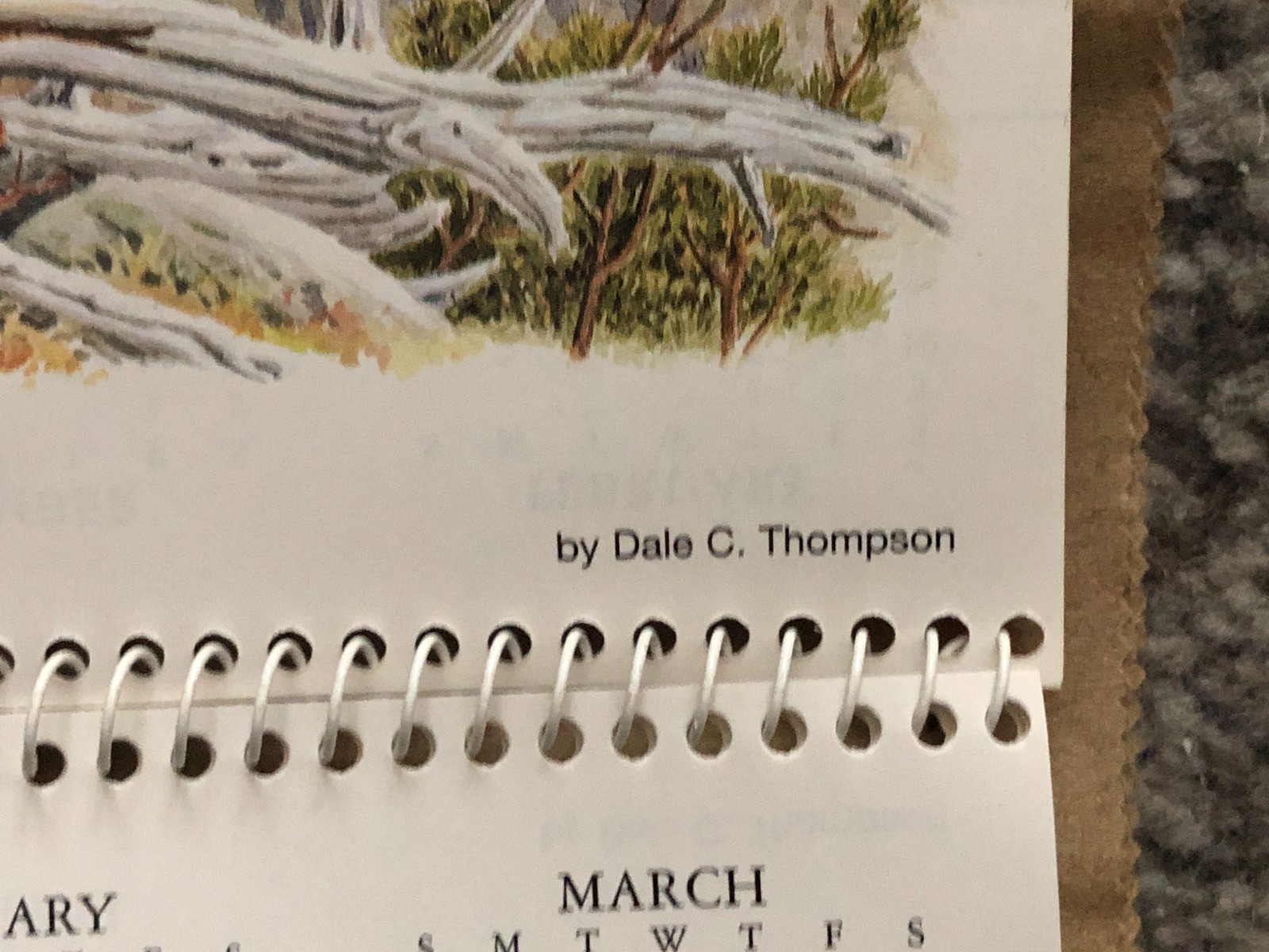 Vintage 2001 Janesville WI Advertising Calendar – Dale Thompson Wildlife Art