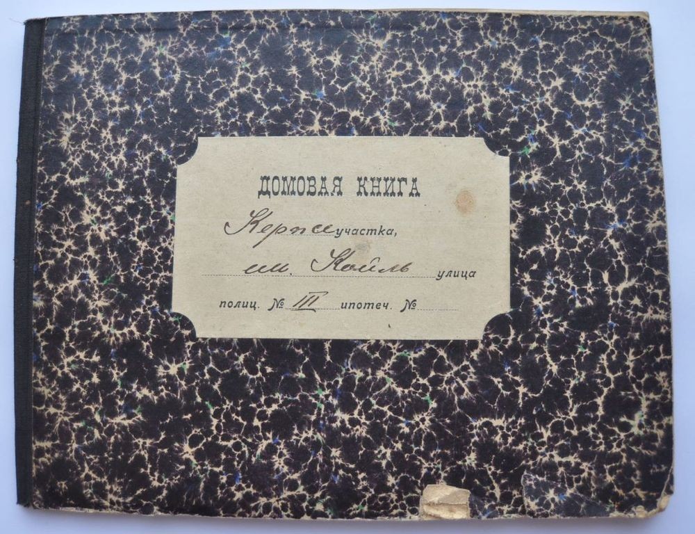 PC 1900s Imperial Russia Household Economics Book with Personal Data