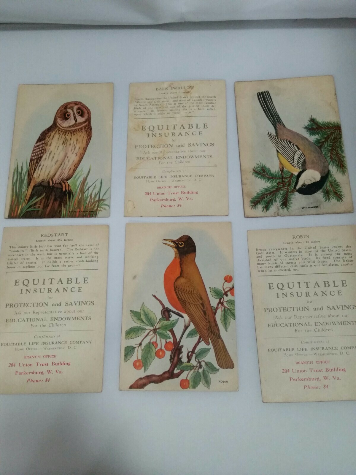Vtg. Advertising cards-Equitable Insurance-1940’s-Color-Educational-Birds-6/lot