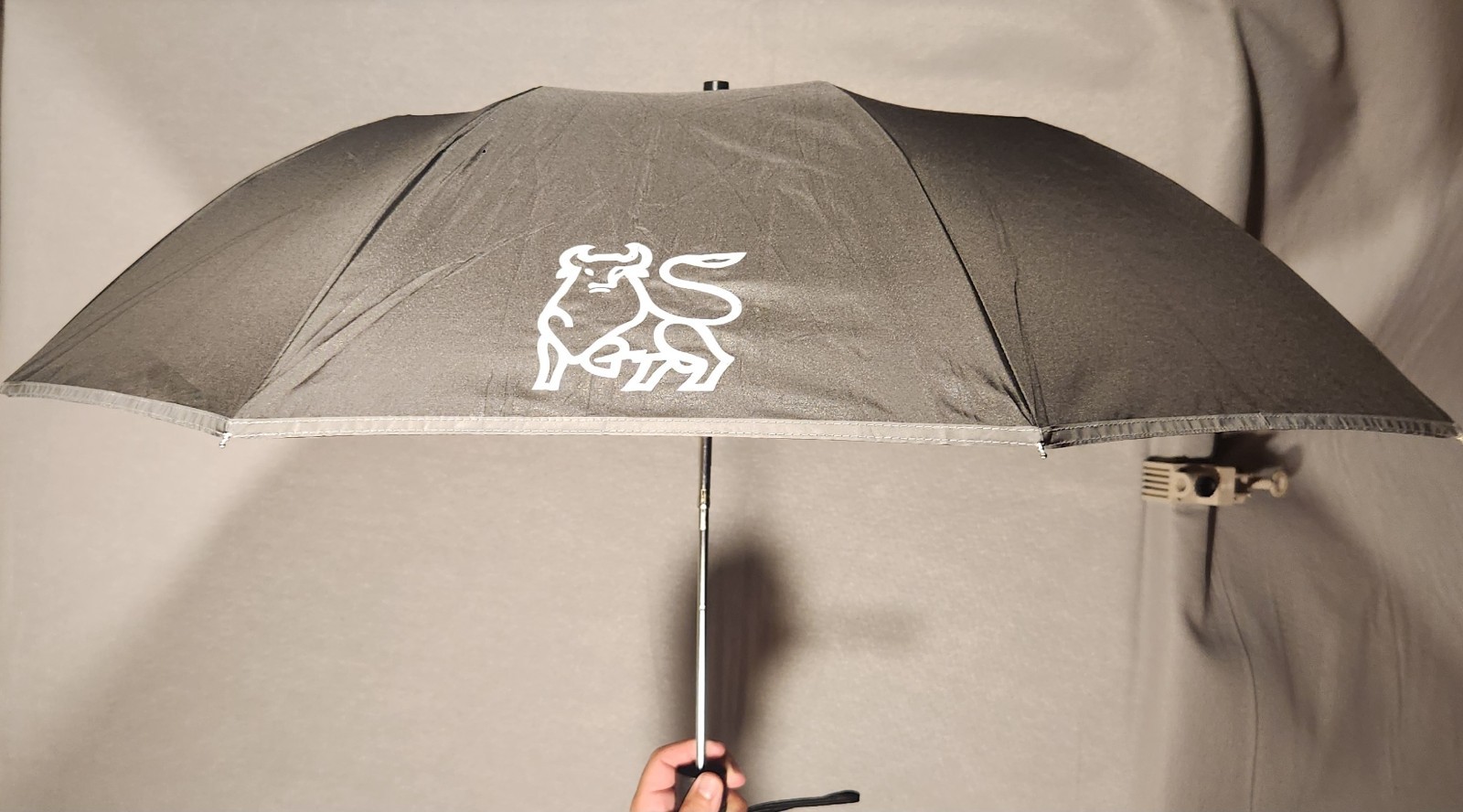 Merrill Lynch Bull 36″ Umbrella Promotional Swag Wall Street Financial Item