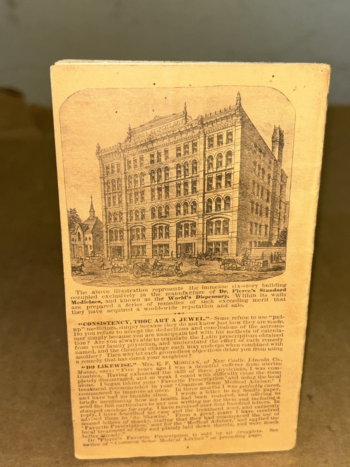 1883 Pierce’s Memorandum Account Book World’s Dispensary Medical Ass. Buffalo NY