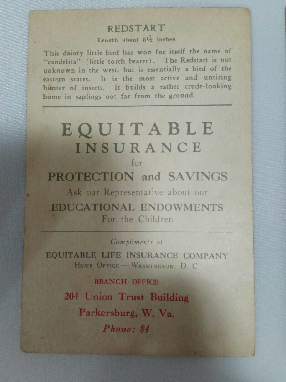 Vtg. Advertising cards-Equitable Insurance-1940’s-Color-Educational-Birds-6/lot