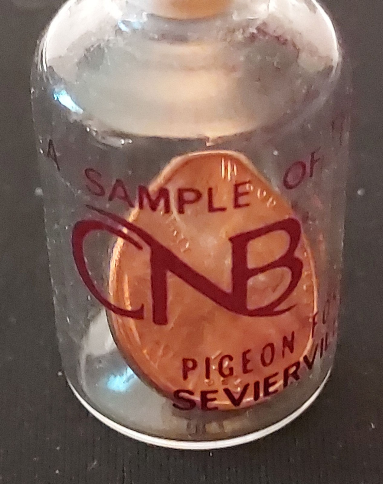 Vtg Penny In A Bottle – Citizen’s National Bank – Sevierville, Pigeon Forge, TN